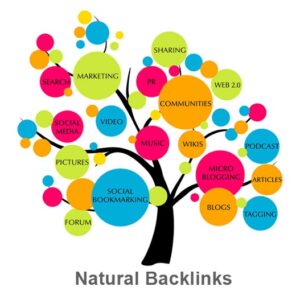 Every website should have many backlinks to increase it's ranking code95.com will help you