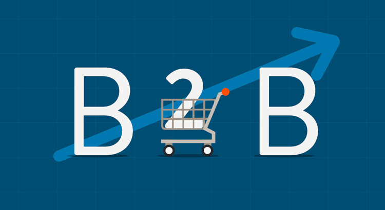 Successful Strategies for B2B e-Commerce