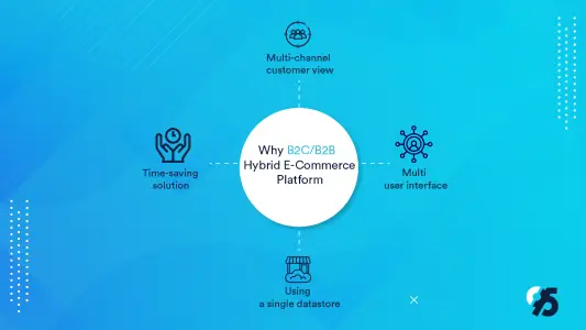 What is a B2C/B2B Hybrid E-Commerce Platform?