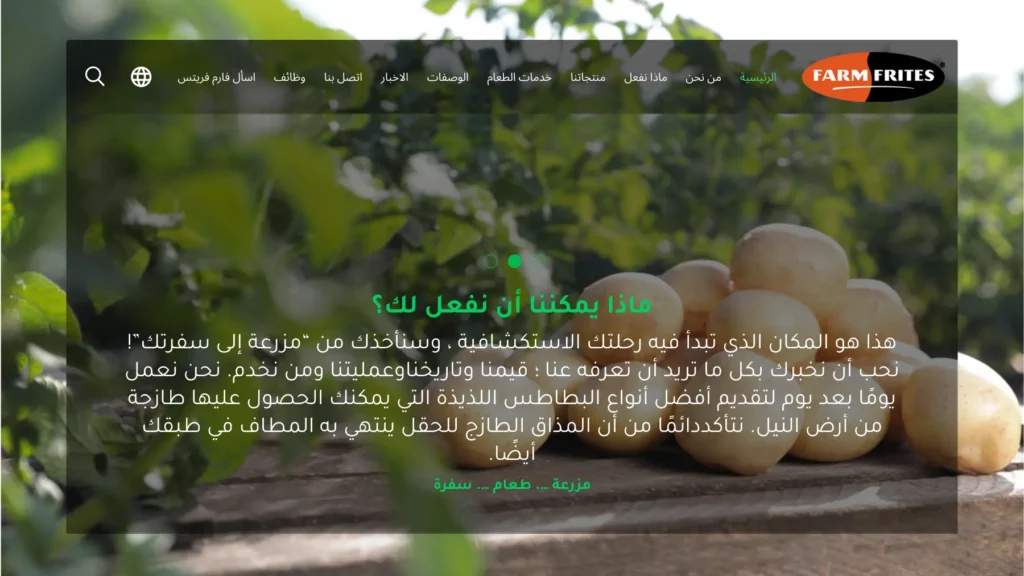 فارم فريتس – Farm Frites